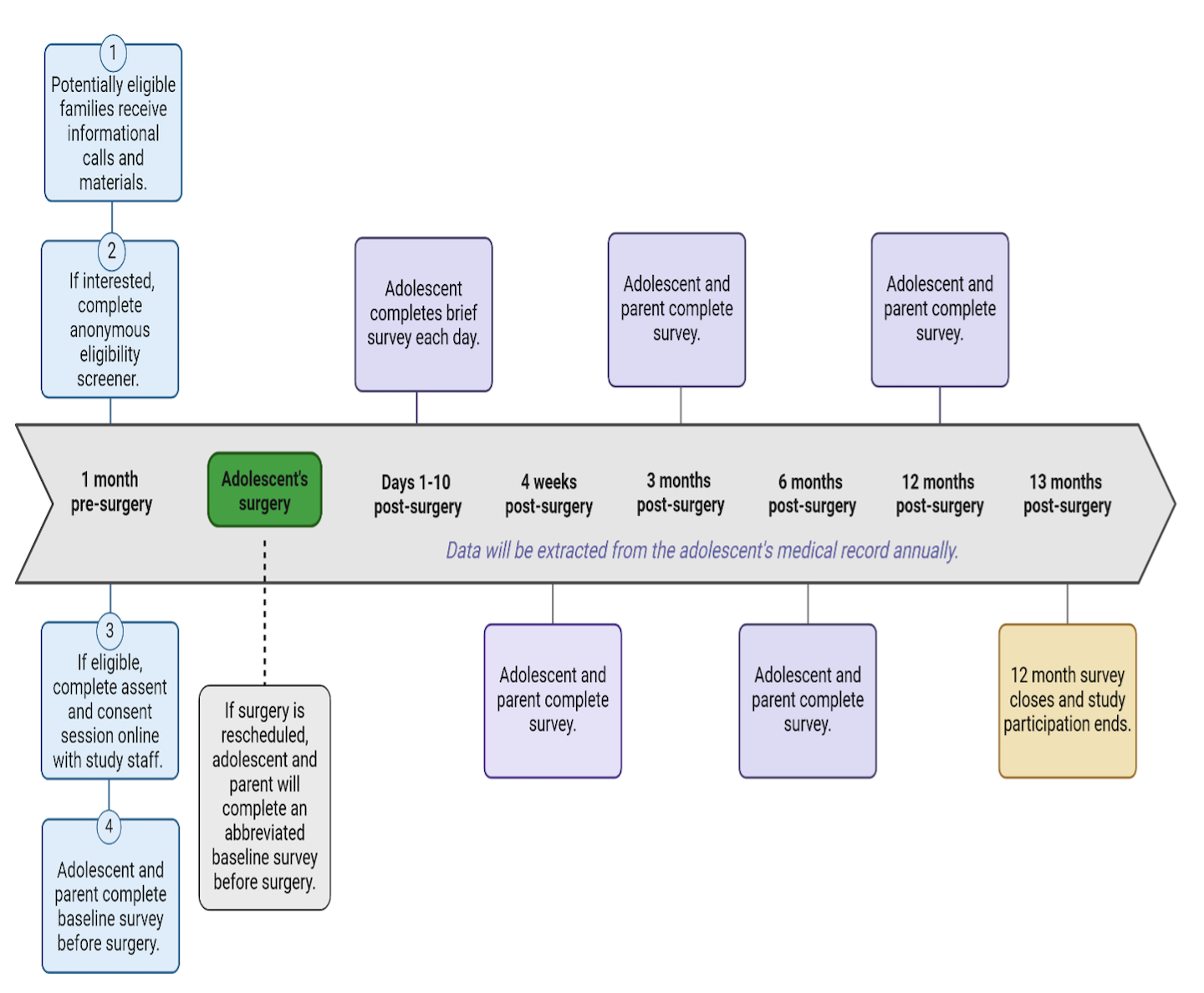 chart of what's expected of study and time commitment pre and post-surgery