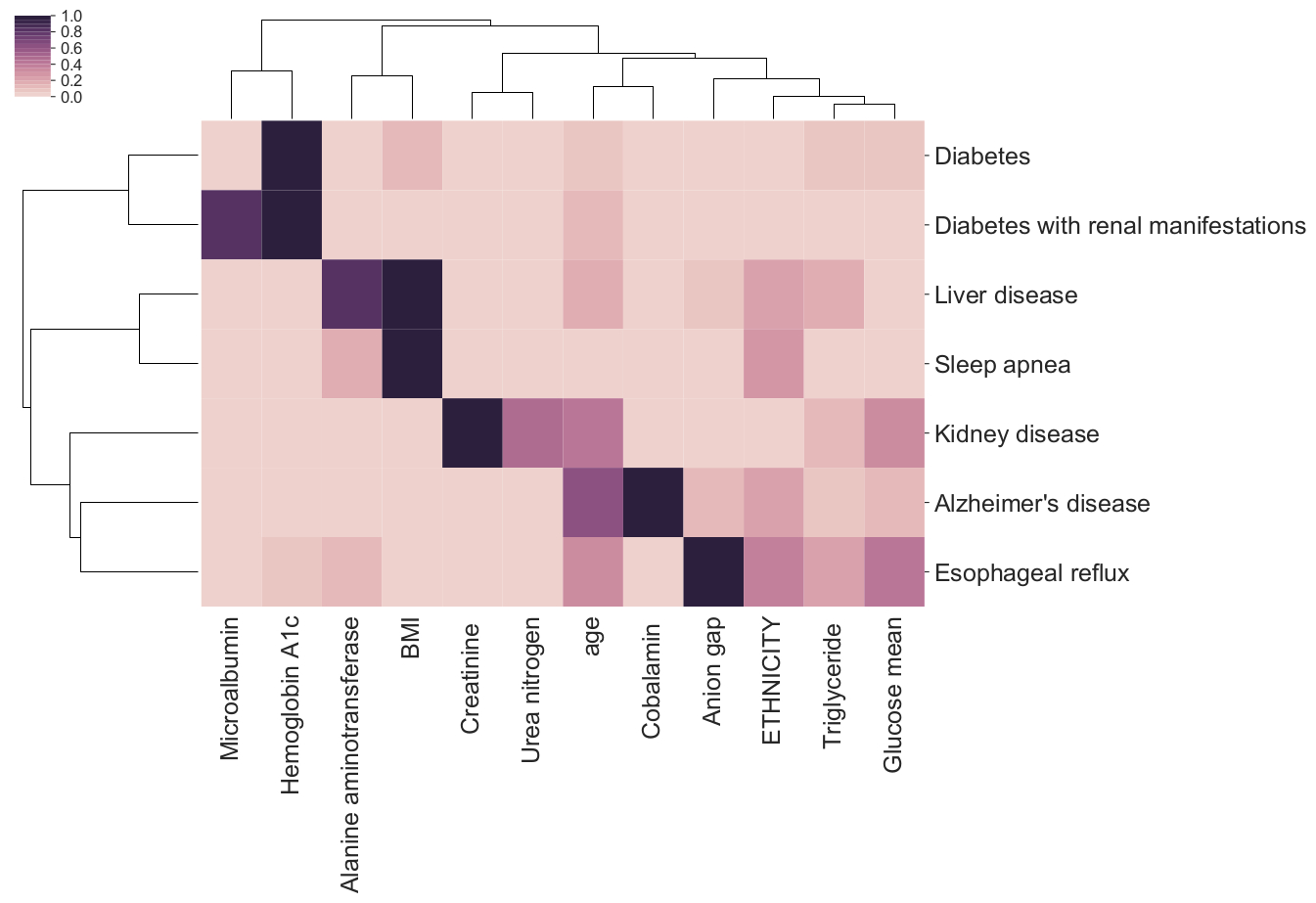 Figure 1. Feature importance bi-clustering across diseases and predictors