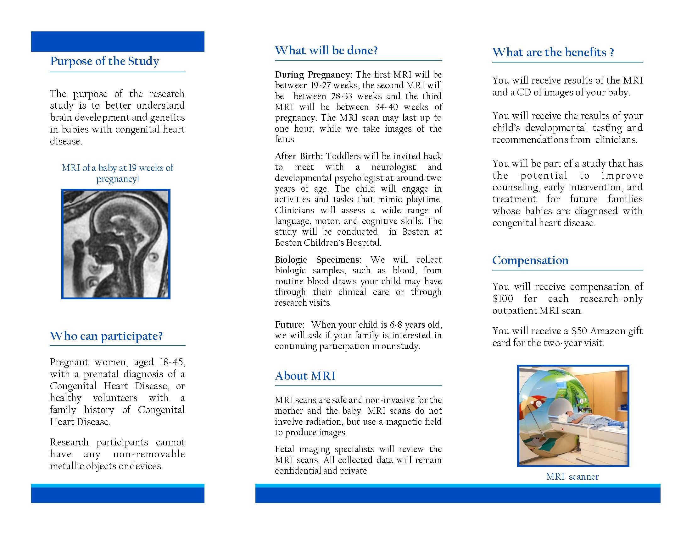 Fetal Heart and Brain Study brochure page two